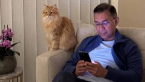 নীরব মুহূর্ত, পাশে প্রিয় সঙ্গী ‘জেবু’ ছবি: সংগৃহীত সোশ্যাল মিডিয়া থেকে।